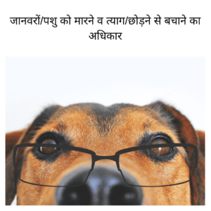 Important Indian Laws about Pets and Animals