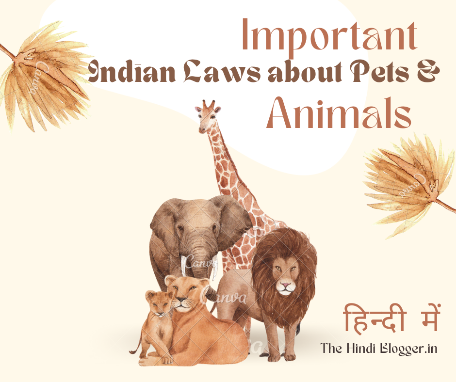 Read more about the article 4 Important Indian Laws about Pets and Animals
